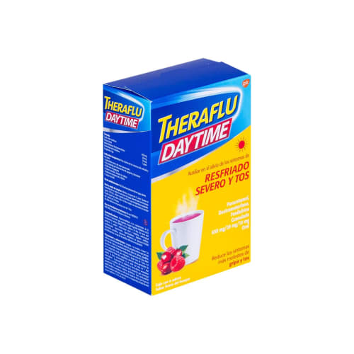 Theraflu Daytime Frut Bosq 6Sb