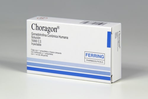 Choragon 5000 U.I. Amp 1X1 Ml